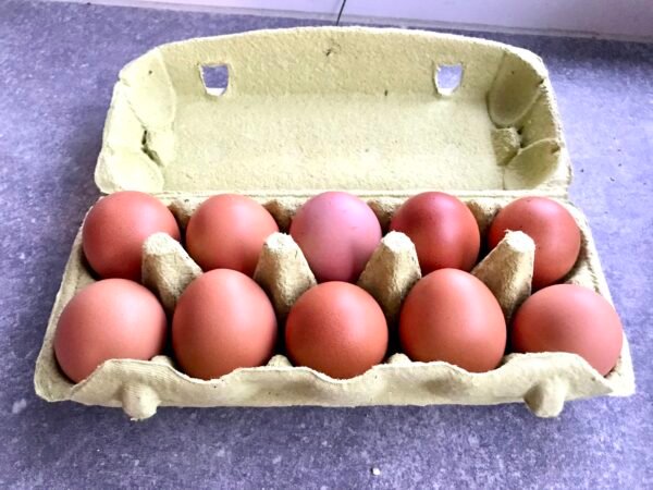 eierdoos met eieren