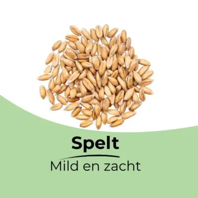 Afbeelding voor keuze nummer 2